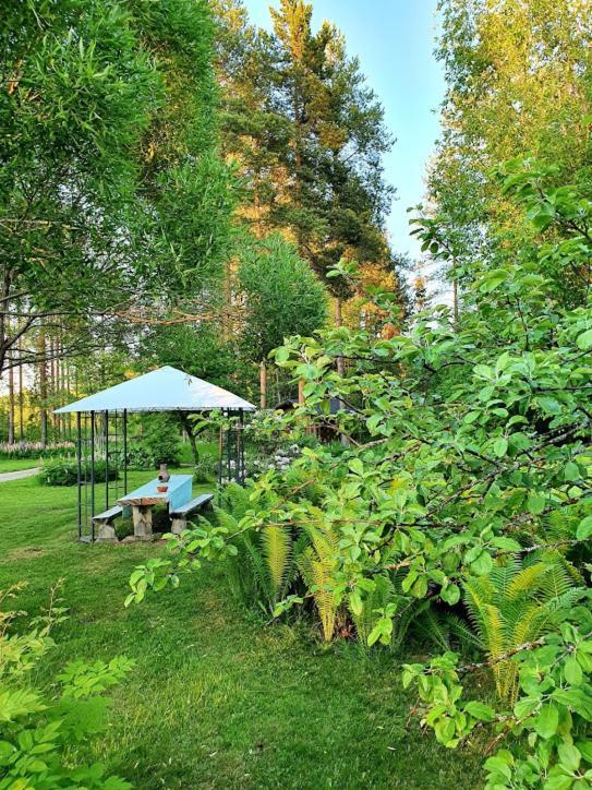 Toivonniemen Kotimajoitus Apartment Paltaniemi Bagian luar foto